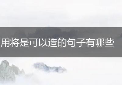 用将是可以造的句子有哪些