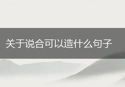 关于说合可以造什么句子