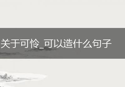关于可怜_可以造什么句子