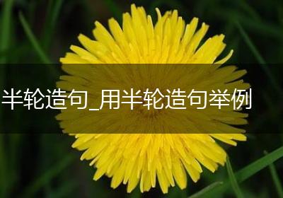 半轮造句_用半轮造句举例