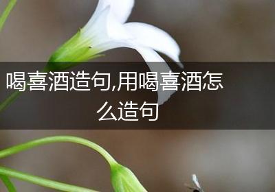 喝喜酒造句,用喝喜酒怎么造句
