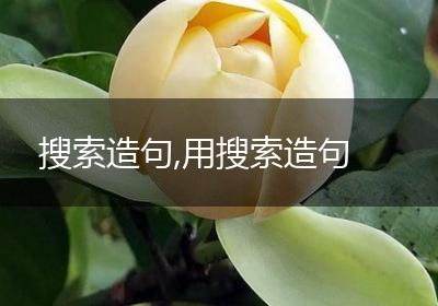 搜索造句,用搜索造句