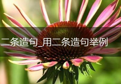 二条造句_用二条造句举例