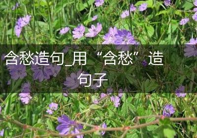含愁造句_用“含愁”造句子