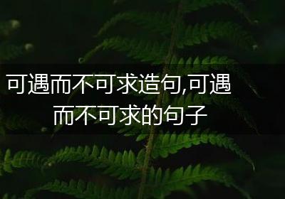 可遇而不可求造句,可遇而不可求的句子