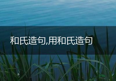 和氏造句,用和氏造句