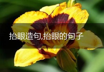 抬眼造句,抬眼的句子