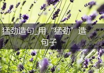 猛劲造句_用“猛劲”造句子