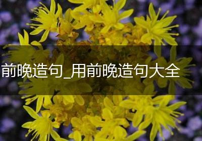前晚造句_用前晚造句大全