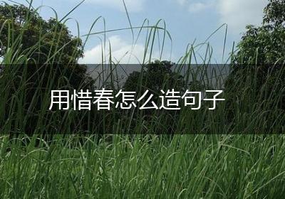 用惜春怎么造句子