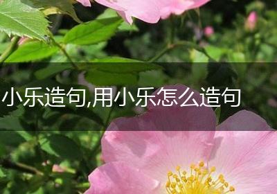小乐造句,用小乐怎么造句