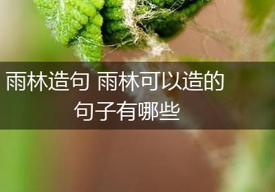 雨林造句 雨林可以造的句子有哪些