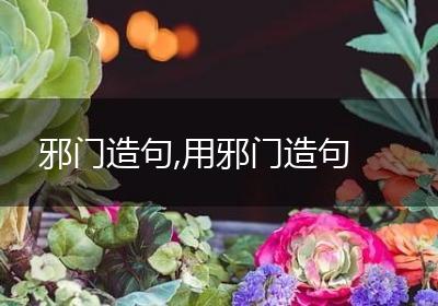 邪门造句,用邪门造句