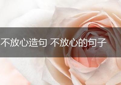 不放心造句 不放心的句子