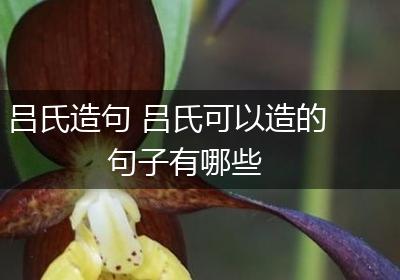 吕氏造句 吕氏可以造的句子有哪些
