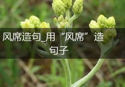风席造句_用“风席”造句子