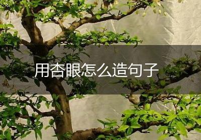 用杏眼怎么造句子