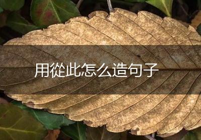 用從此怎么造句子