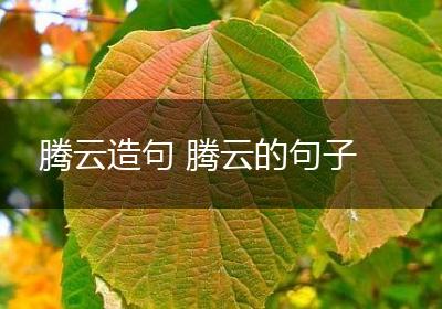 腾云造句 腾云的句子