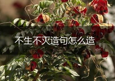 不生不灭造句怎么造