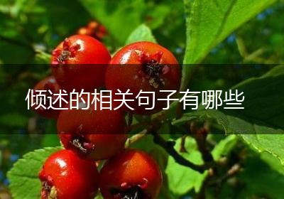 倾述的相关句子有哪些
