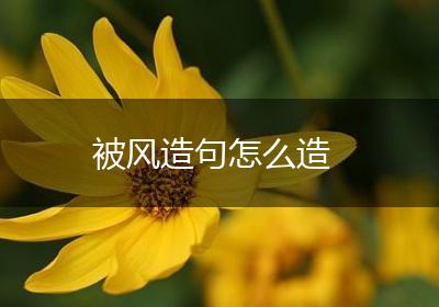 被风造句怎么造
