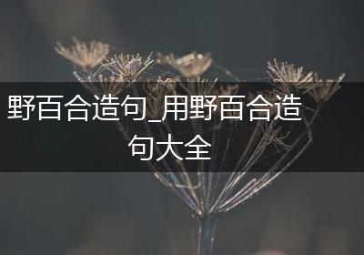 野百合造句_用野百合造句大全