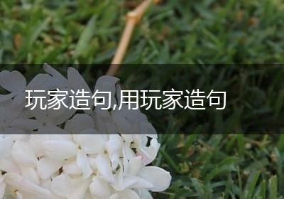 玩家造句,用玩家造句