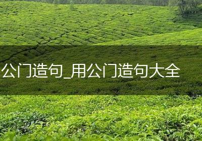公门造句_用公门造句大全