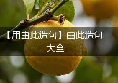 【用由此造句】由此造句大全