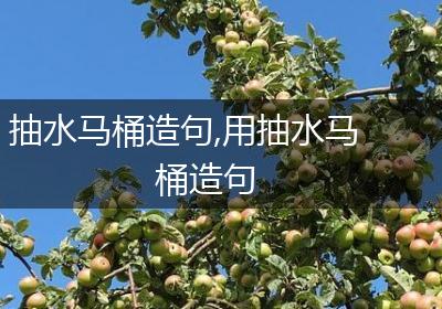 抽水马桶造句,用抽水马桶造句