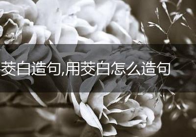 茭白造句,用茭白怎么造句