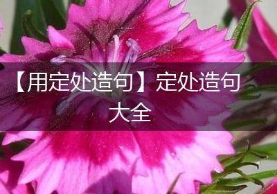 【用定处造句】定处造句大全