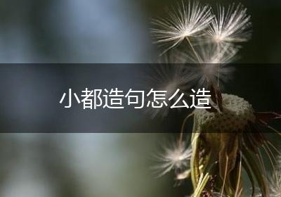 小都造句怎么造