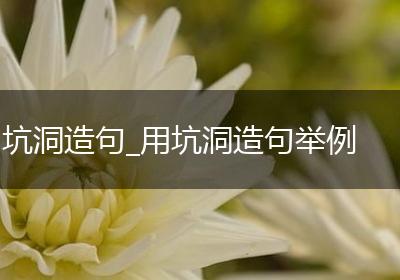 坑洞造句_用坑洞造句举例