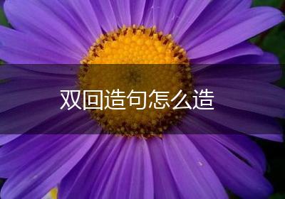 双回造句怎么造