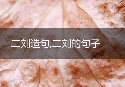 二刘造句,二刘的句子