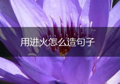 用进火怎么造句子