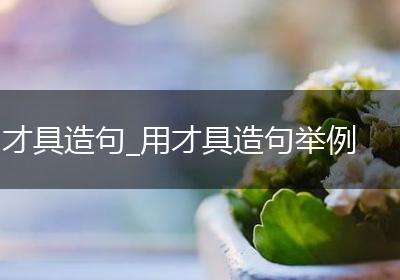 才具造句_用才具造句举例