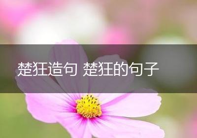 楚狂造句 楚狂的句子