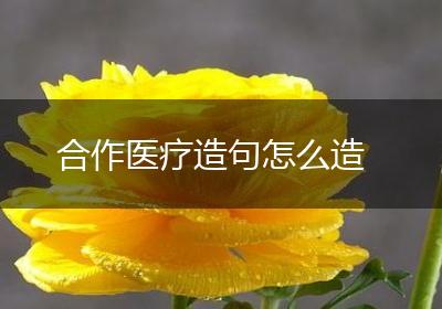 合作医疗造句怎么造