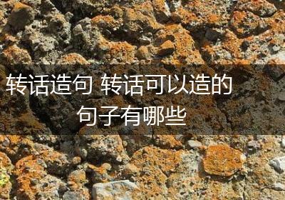 转话造句 转话可以造的句子有哪些