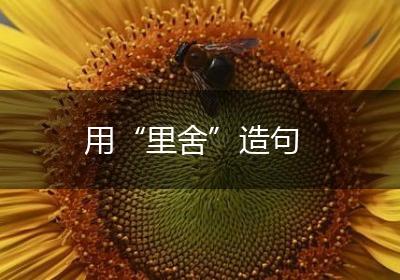 用“里舍”造句
