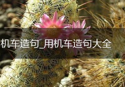 机车造句_用机车造句大全