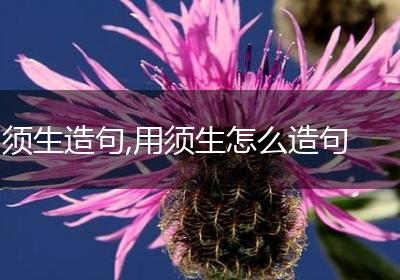 须生造句,用须生怎么造句