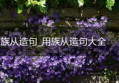 族从造句_用族从造句大全