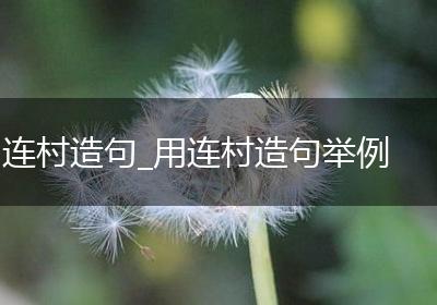 连村造句_用连村造句举例