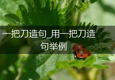 一把刀造句_用一把刀造句举例