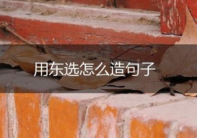 用东选怎么造句子