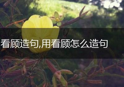 看顾造句,用看顾怎么造句